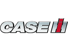 CASE INTERNATIONAL